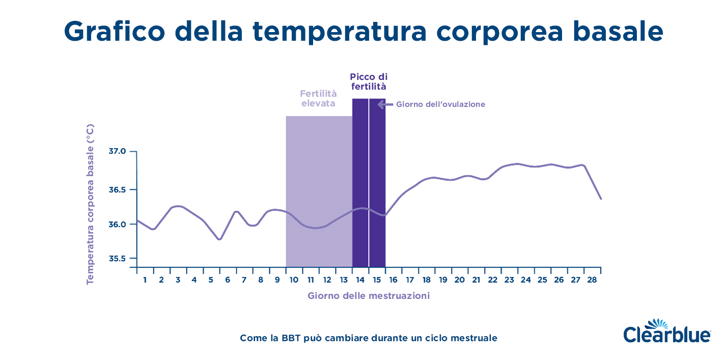 Temperatura corporea basale: definizione e grafici - Clearblue